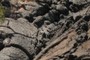 Pahoehoe Lava