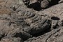 Pahoehoe Ropes