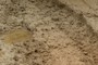 mud puddles