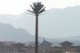 Creative Grand Sharm Resort