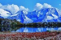 207321-210x140