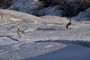 Goose Patrol