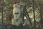 rabit
