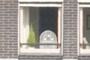 Birdcage in window