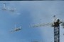 crane prints