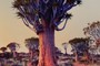 Alien plantforms