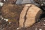 Interesting cobble