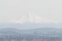 Mount Hood