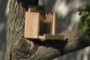 Birdhouse?