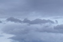 208604-210x140