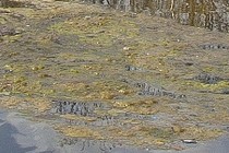 209039-210x140