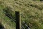 Crazy Fencing