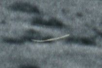 209471-210x140