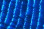 Butterfly Scales