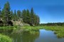 Pond