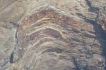 209556-210x140