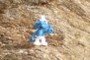 Brainy Smurf
