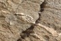 quartz rod