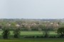 Eastern Legborne