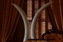 Matching Ivory Tusks
