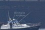Boat Ryndam Rotterdam