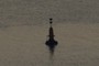 Bouy