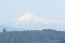 219359-210x140