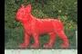 Red Dog