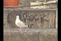 Rock &amp; Bird