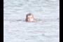 swimmer