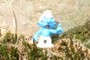 Brainy Smurf