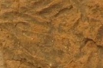 217420-210x140