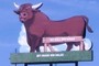 Hit Bull Win Steak