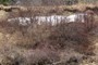 Evidence of landslide