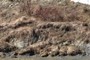 Pile of debris at bottom of bank
