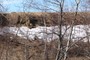 Scarp