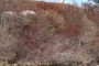 Less landslide activity