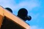 Whistle horn