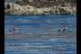 Kayakers