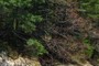 Freeport 11