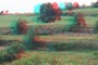 Beautiful fields