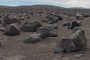 Bea Hills