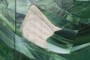 Missing piece of glass