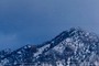 Snow Flakes