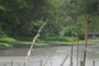 Panther Hollow Lake Boat House