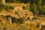Guezelyurt