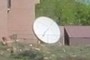 Dish
