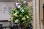 More Wonderful Flowers