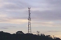 217069-210x140