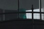 The Light